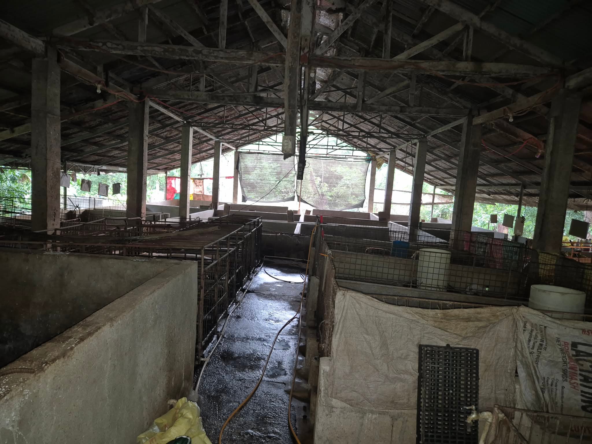 Working pens at Ramirez Farm