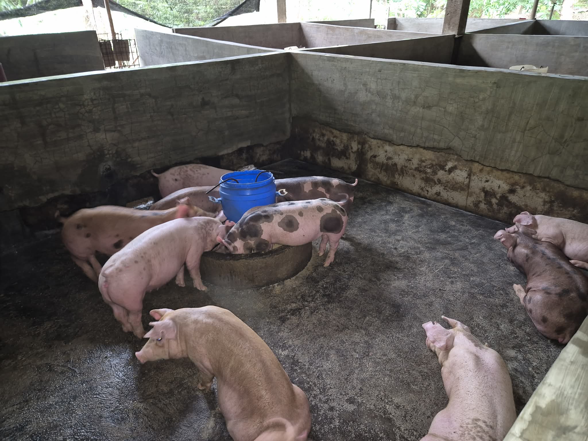 Ramirez Farm