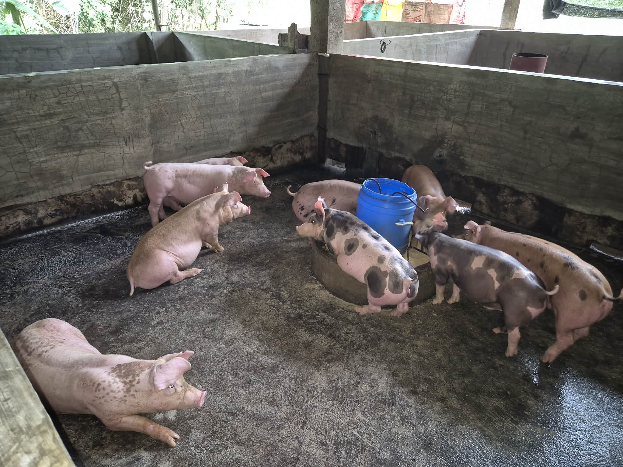 Ramirez Farm